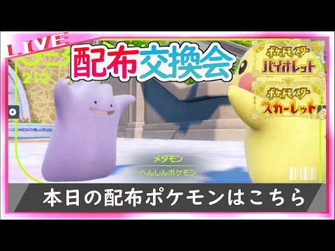 【ポケモンSV】海外ずぶとい6Vメタモン配布【兼作業枠】