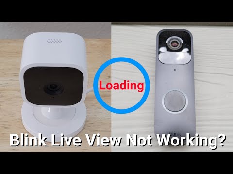 Blink Camera Or Doorbell Live View Not Working?