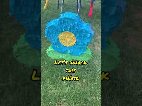 Lowe’s Mystery Garden kit Piñata