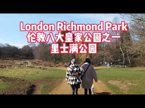 伦敦里士满公园 Richmond Park