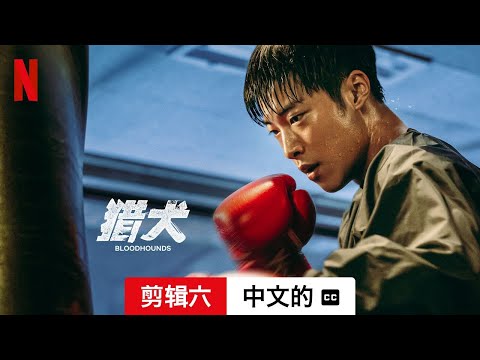 猎犬 (第一部剪辑六配有字幕) | 中文的預告片 | Netflix