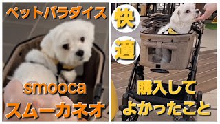 【ペットカート】ペットパラダイスのスムーカネオを愛犬マルチーズに購入してよかったこと🐶