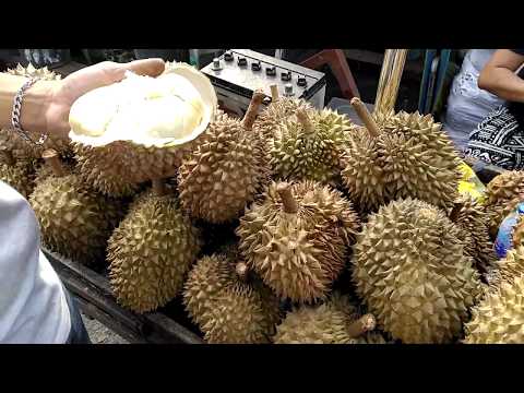 Puyat & Arancillo Durians in Davao Philippines 두리안 뭌방