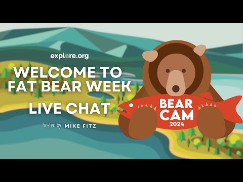 Welcome to Fat Bear Week 2024 | Brooks Live Chat