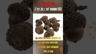 Acorn #LetsLearnEnglish #RRIRS