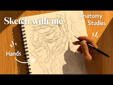 How i practice drawing Anatomy