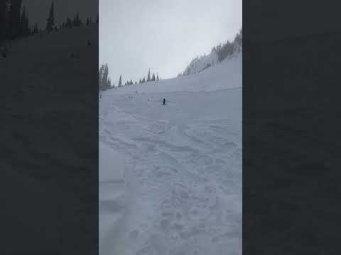 Powder at Whistler