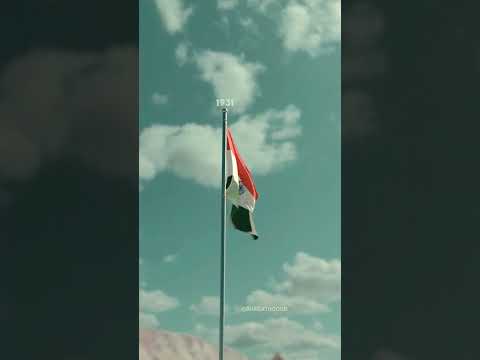 Indian flag History (1906-1947) _  ଭାରତୀୟ ପତାକା ଇତିହାସ (1906-1947) 🇮🇳#indian #lalitvlog766