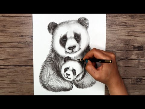 How to draw a panda and its baby step by step | Realistic animal drawing tutorial