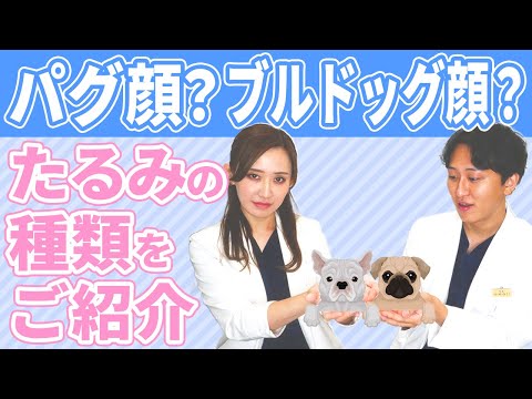 【あなたはどっちタイプ？】パグ顔？ブルドッグ顔？犬種に例えてたるみの種類をご紹介します！【対談企画】