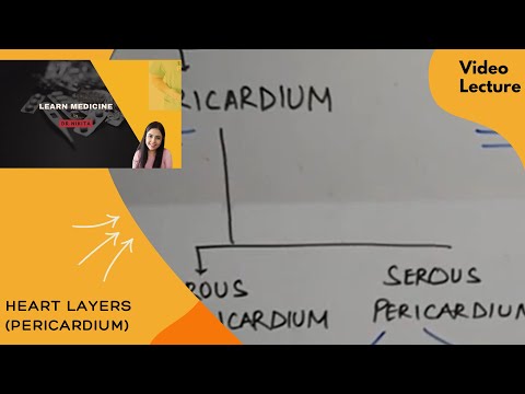 Layers of Heart : Pericardium, Myocardium, Endocardium by Dr. Nikita