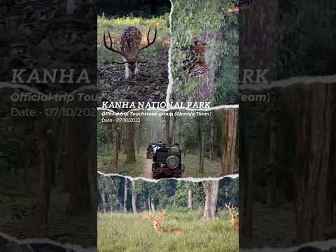 Kanha national park//Kanha tiger reserve 2023