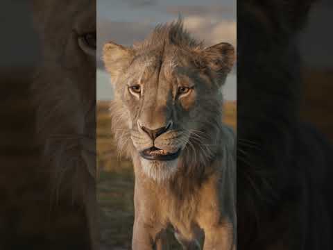 Mufasa: The Lion King | Rivals #shorts