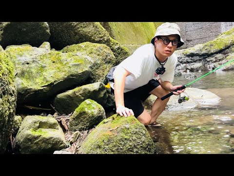 【釣って食う】誰も居ない川で釣りをしたら楽し過ぎた。これが真夏のキャンプ飯。