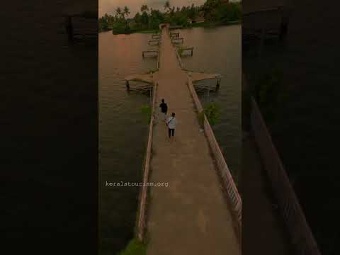 Discover the Magic of Alappuzha Backwaters