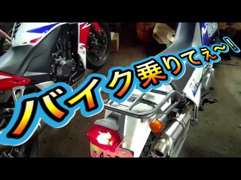 久しぶりにバイクのエンジン掛けました