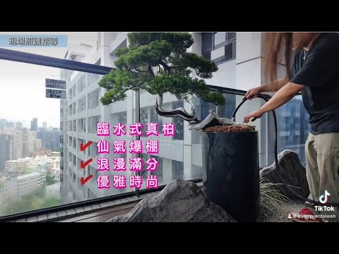 團隊施工｜銘園team#台灣銘園 #台灣銘園園藝事業有限公司 #景觀設計