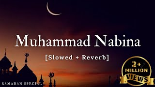 Muhammad Nabina [Ramadan Special] Hamada Helal | Music Material | Textaudio