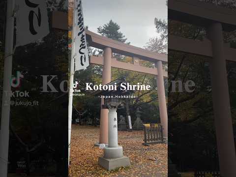 【琴似神社】推しの神社を動画にしてみた【Kotoni Shrine】 #hokkaido #japan #jinja #shrine