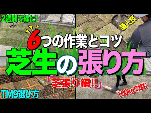 芝生の張り方完結編 ６つの作業とコツとは？何年も楽にキレイに手入れできる芝生を庭を作ろう！