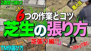 芝生の張り方完結編 ６つの作業とコツとは？何年も楽にキレイに手入れできる芝生を庭を作ろう！