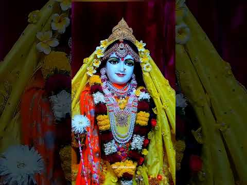 Today's Darshan 🪷 | Sri Sri Radha Madhav at ISKCON Siliguri