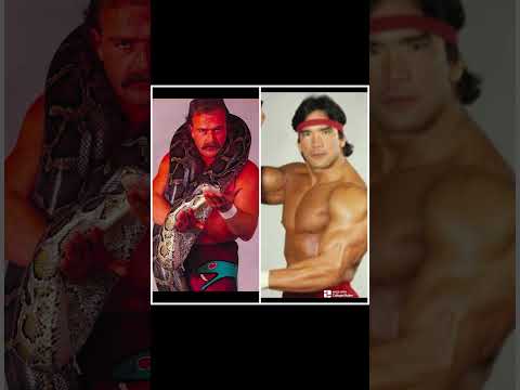 Jake Roberts or Ricky Steamboat? #shorts #jakeroberts #wwe #youtubeshorts #subscribemychannel #fyp