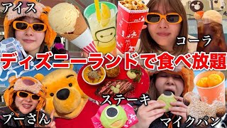 【ぼっちディズニー】今日も安定のひとりディズニーランドでご飯食べてキャラクターと遊んで最高だった！！！