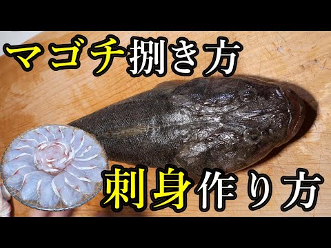 マゴチの捌き方と一番簡単な刺身の盛り付け方、作り方