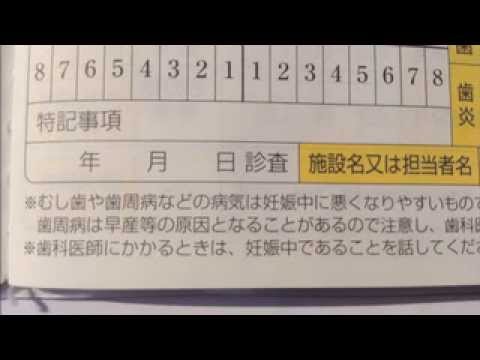 8020日歯TV　母子健康手帳＜2＞母子手帳でチェック！妊娠中の歯と口の健康