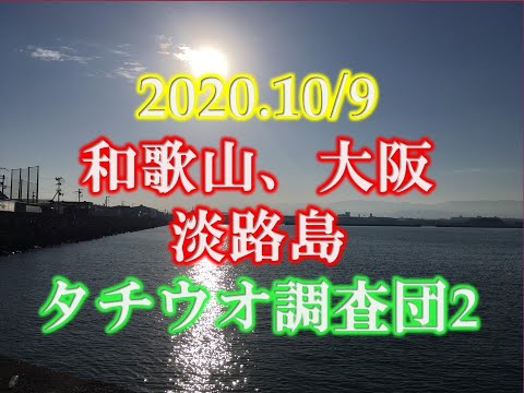 2020年10/9現在　タチウオ調査団2　和歌山～大阪湾～淡路島　太刀魚釣果調査隊