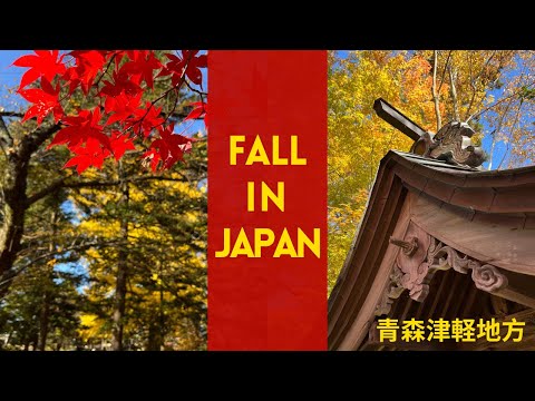 Fall Leaves in Japan - Relaxing Beautiful Scenery in Aomori, Japan