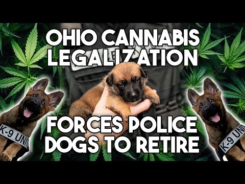 How Ohio’s Cannabis Program has Retired Police Dogs