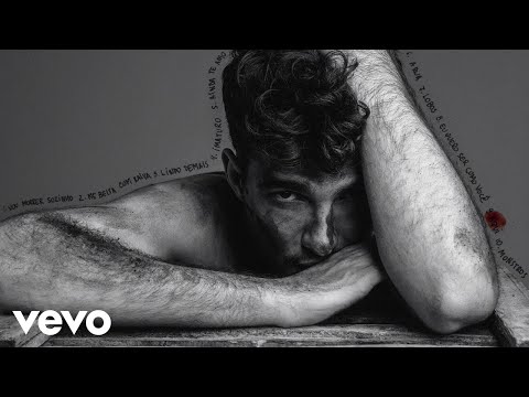 Jão, Diogo Piçarra - Aqui (Audio)