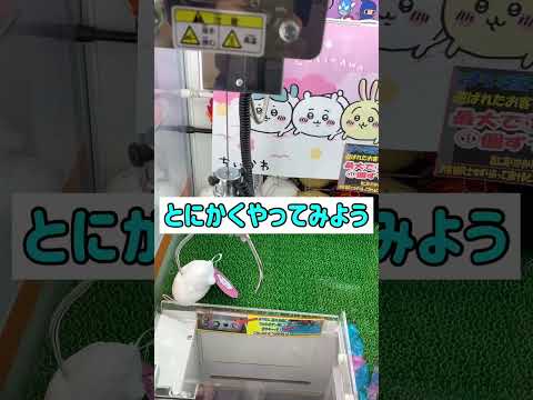 ちいかわぬいぐるみ〜ハイエナの流儀〜 #クレーンゲーム