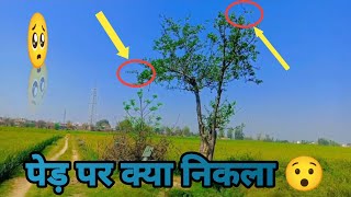 My new vlog Kisaan bhaiyo ki fasal | vlog 01 | My first vlog kisaan | #myfirstvlog #kisaan#vlog