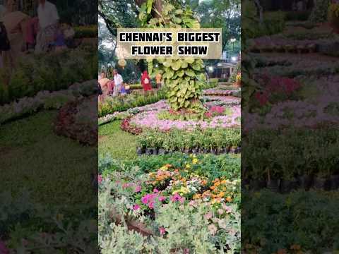 Chennai’s Biggest Flower show @namma chennai #colourful#vibarent#happiness #must visit #viralvideo