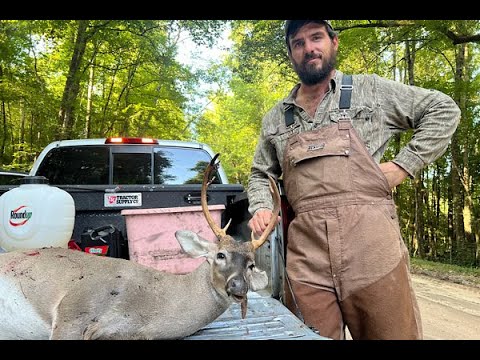 DEER HUNTING WITH DOGS!!! REDEMPTION BUCK DOWN IN THE SWAMP