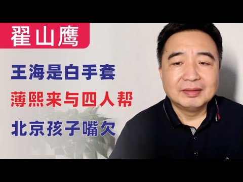 翟山鹰：“打假人”王海勾结工商系统内部敲诈民营企业家，是某中央委员的白手套｜北京孩子嘴欠得罪人｜中纪委的薄熙来、四人帮两岸工作室｜器官移植的事讲过