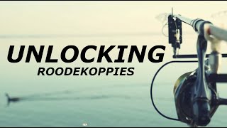 Unlocking Roodekoppies