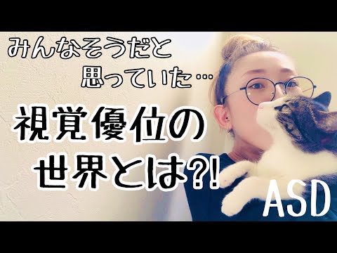 ASDの【視覚優位】の世界とはどういうものなのかを詳しく解説します【ASD当事者/発達障害特性】