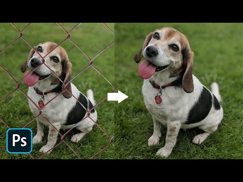 Remove Fence In One Click in Photoshop | Photoshop Tutorial