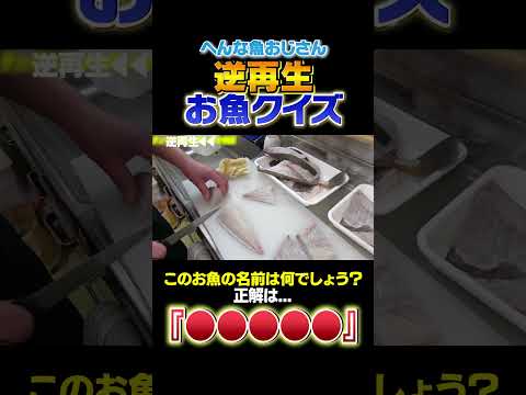 【逆再生お魚クイズ】沖縄でチヌマンって呼ばれるこの魚はなんでしょう？！難易度★3  #shorts  #seafood #食テロ #asmr  ＃逆再生 #お魚クイズ