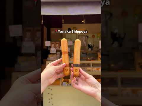 Street Food in Yanaka Ginza - Tokyo