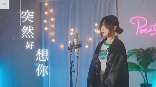 MAYDAY五月天 -【突然好想你】| Cover 三仟 | Pocats Studio