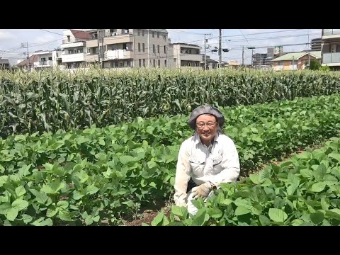 世界都市農業サミット参加海外都市との交流動画（練馬区-ファーム渡戸）