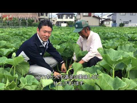 ナリタヤやさい 千葉県八街市・小川寛さんのかぼちゃ