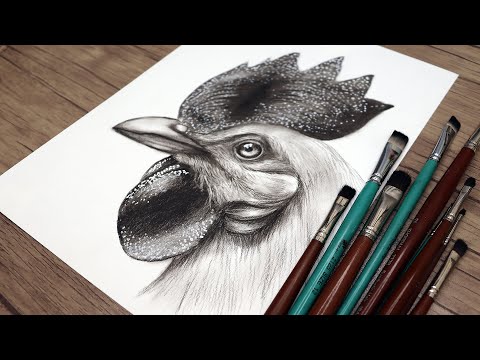 How to draw a realistic rooster head step by step | Pencil drawing tutorial