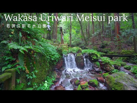 🇯🇵Walking tour Wakasa uriwari meisui park 若狭瓜割名水公園散策[4KHDR]