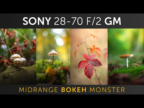 The Sony 28-70 F/2 GM : The Midrange Bokeh Monster